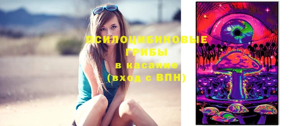 стаф Абинск